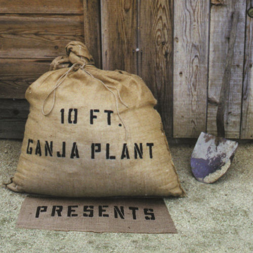 10ft Ganja Plant