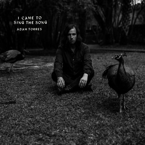 Adam Torres