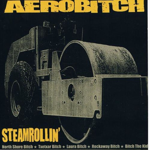 Aerobitch
