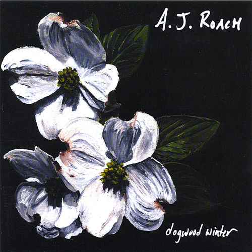 AJ Roach