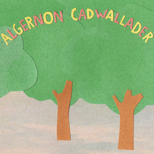 Algernon Cadwallader