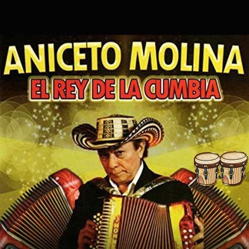 Aniceto Molina
