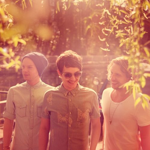 Animal Kingdom