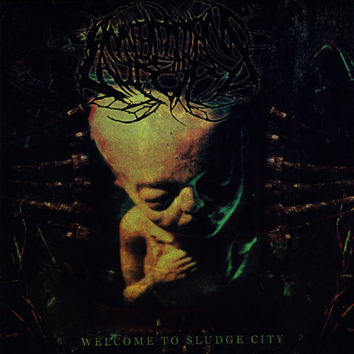 Annotations Of An Autopsy