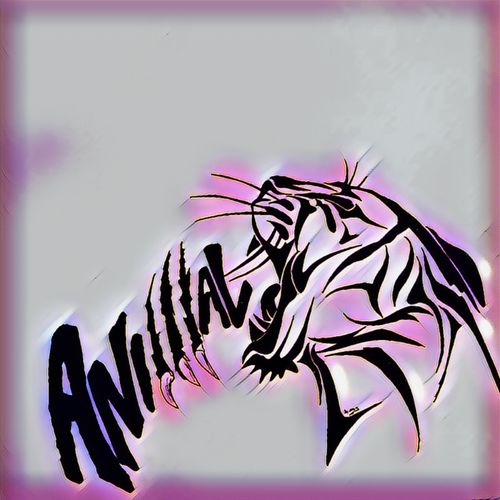 Assimo