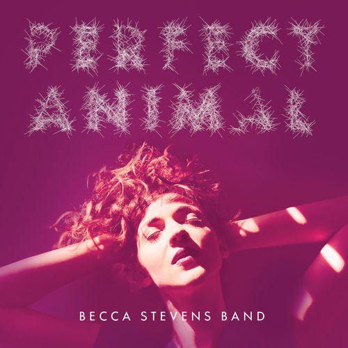 Becca Stevens Band