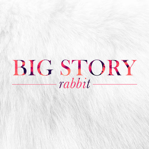 Big Story