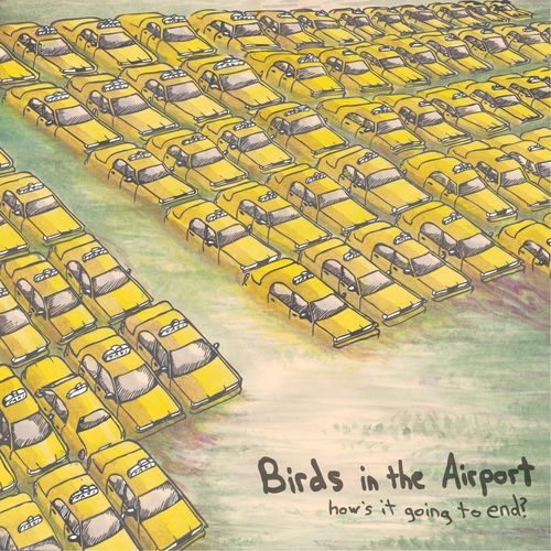 Birds In The Airport
