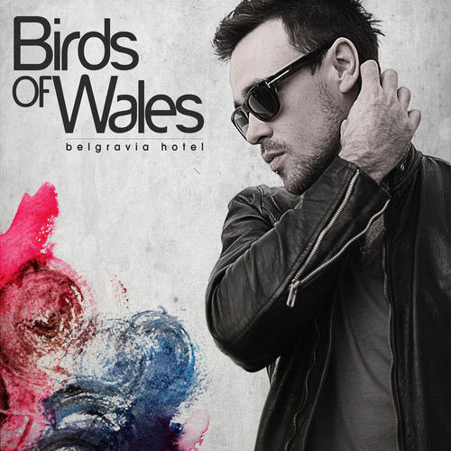 Birds of Wales