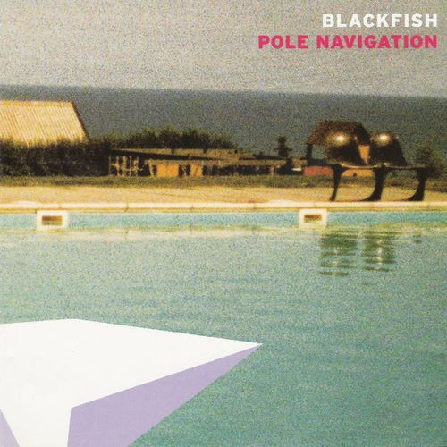 Blackfish