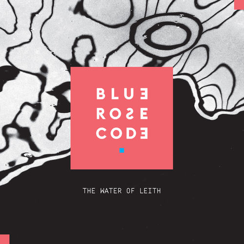 Blue Rose