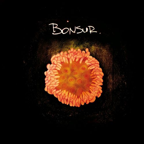Bonsur