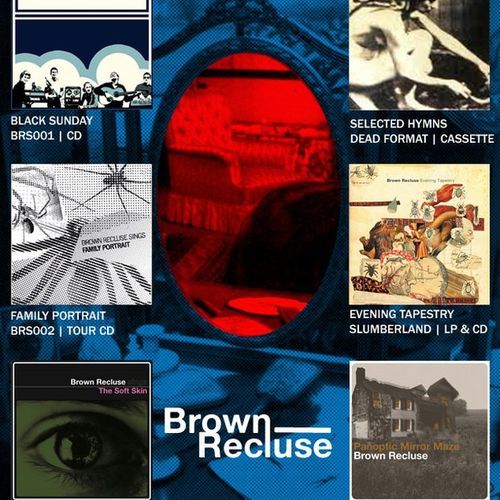 Brown Recluse