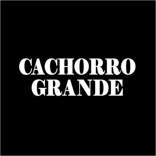 Cachorro Grande