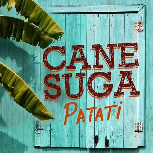 Cane Suga