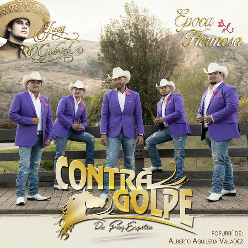 Contragolpe