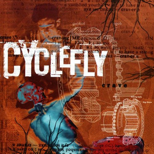 Cyclefly
