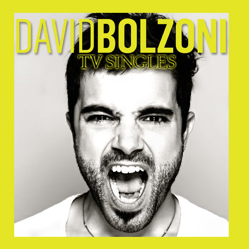 David Bolzoni
