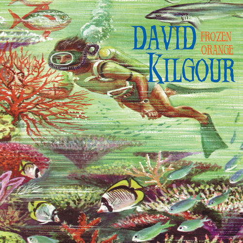 David Kilgour