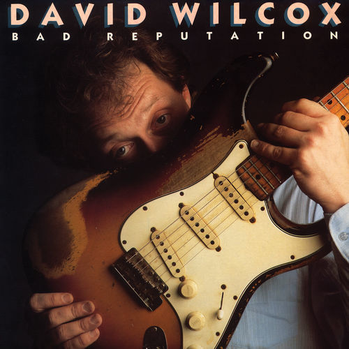 David Wilcox