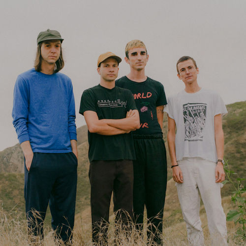 Diiv