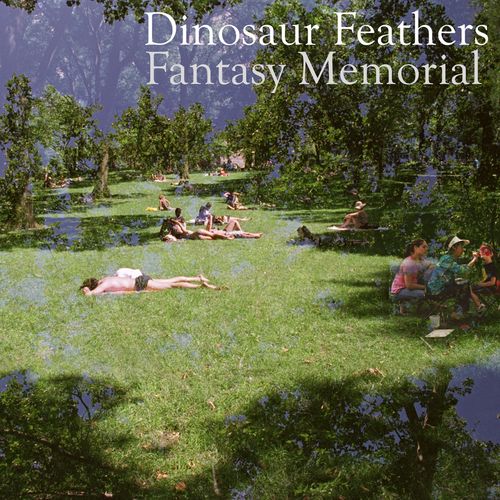 Dinosaur Feathers