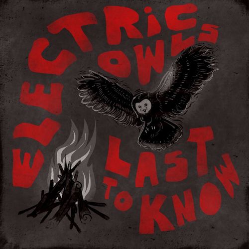 Electric Owls
