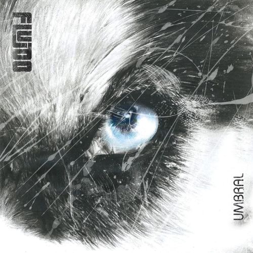 Fluido