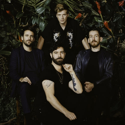 Foals