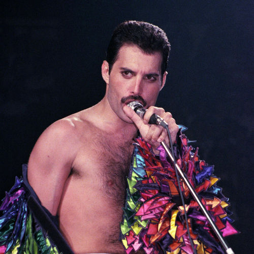 Freddie & The Dreamers