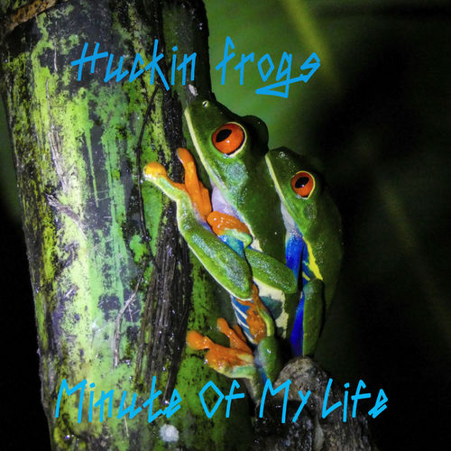 Frogs