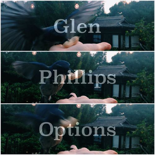 Glen Phillips