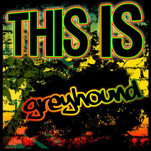 greyhound