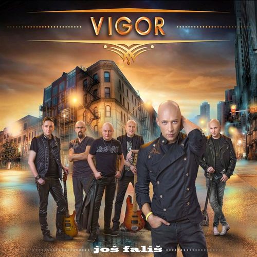 Grupa Vigor