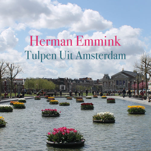Herman Emmink