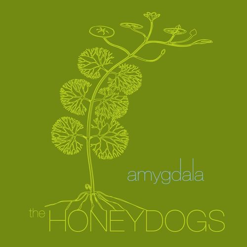 Honeydogs