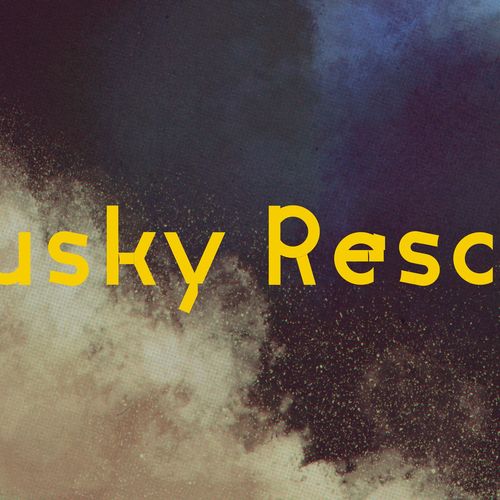 Husky Rescue
