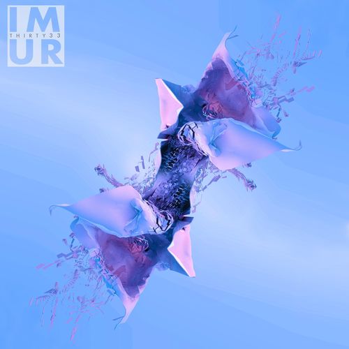 I M U R