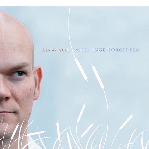 Kjell Inge Torgersen