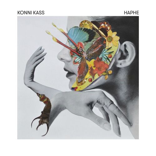 Konni Kass