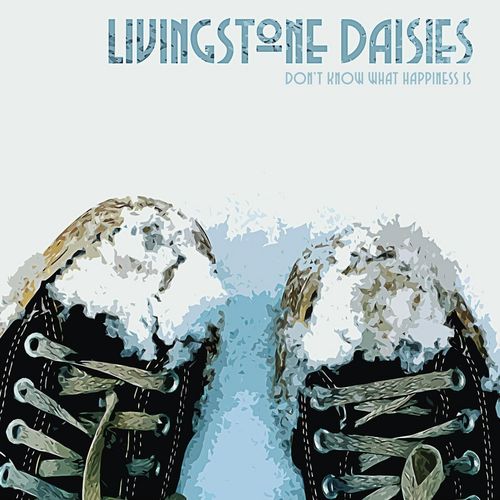 Livingstone Daisies
