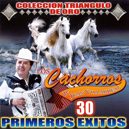 Los Cachorros De Juan Villareal
