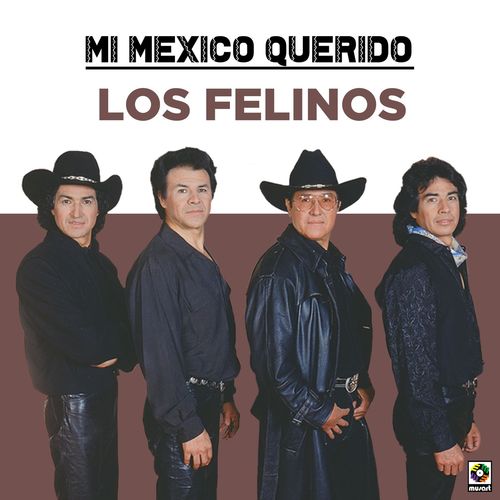Los Felinos