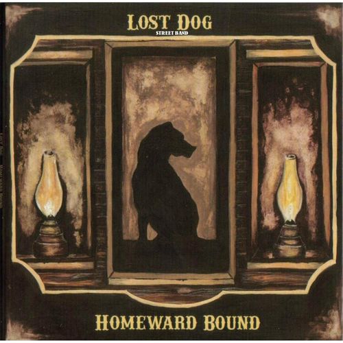 Lost Dog Street Band