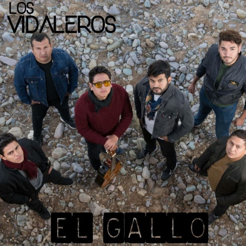Los Vidaleros