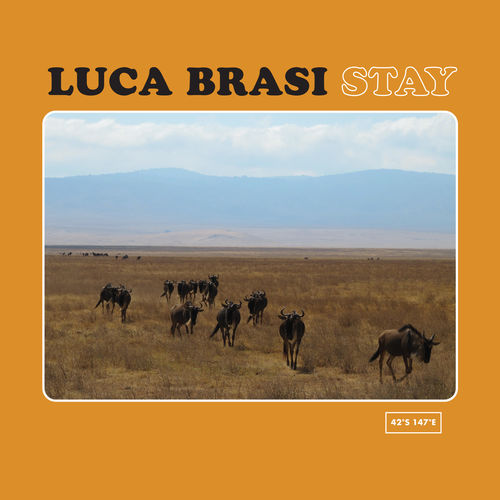 Luca Brasi