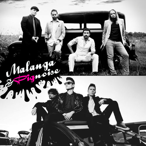 Malanga