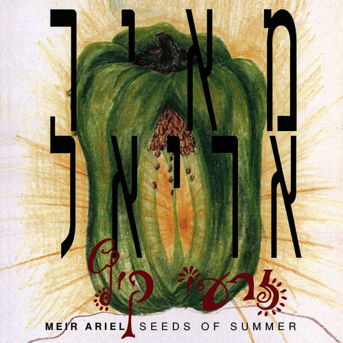 Meir Ariel