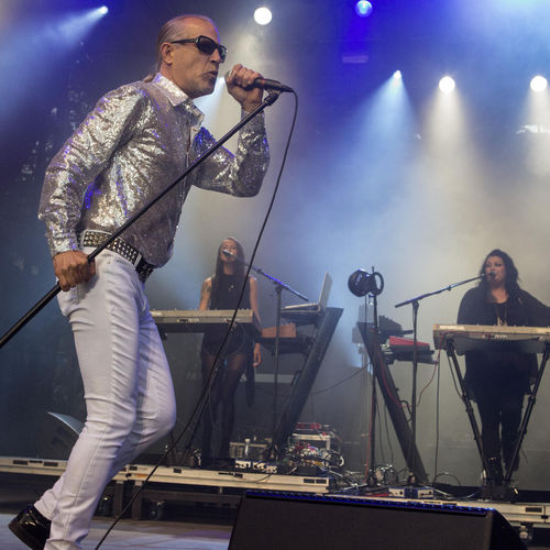 Men Without Hats