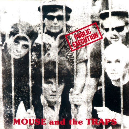 Mouse And The Traps